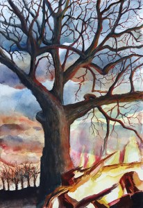 A fire at the feet of a sycamore tree in a winter field in Clarke County, Virginia under the setting sun.